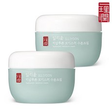 일리윤 히알루론 모이스춰 수분크림 100ml 2개, 단일상품, 단일상품