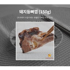 부산반려동물초상화수업