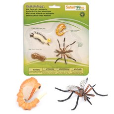 유치원생일성장동영상