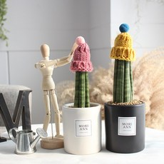 [모리앤]방울모자 쓴 스투키 공기정화식물 미세먼지, 화이트
