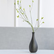 에스그루드라이왁스