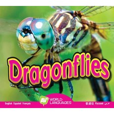 Dragonflies Library Binding, Av2 by Weigl, English, 9781489665584