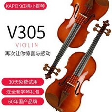 바이올린학원 연습용 입문용 V305 루주 바이올린 초보 아동 성인 레슨 클래스, 01 업그레이드된 V305 44 155cm이