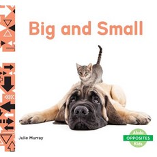 Big and Small Library Binding, Abdo Kids, English, 9781532181771