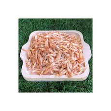 상급 국산 보리새우 500g 육수용새우 건새우 참새우, 1개