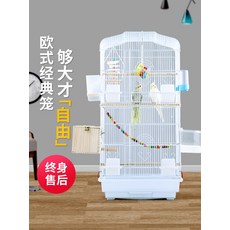 다이와타코이카리그