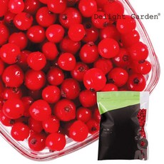 냉동레드커런트