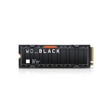 wdblacksn850히트싱크