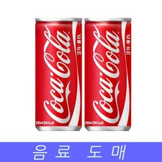 코니카빅미니201