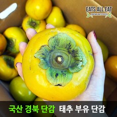 이츠올릿 프리미엄 태추 단감 대18-20과 5kg 땡감 진영 부유 대추 창원 청도 창녕, 1개