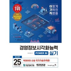 영진닷컴 2025 경영정보시각화능력 실기 기본서 POWER BI