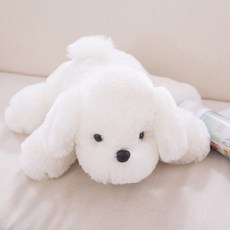 에버랜드향수