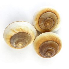 f1a8f6c18d34d61217688a9f7a36bc740467c63a233a1d9111a09051648a.jpg