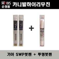 3세대카니발하이리무진