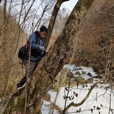 지리산 마천 고로쇠 수액 12병