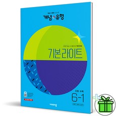 개념플러스유형라이트