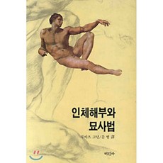 인체해부도