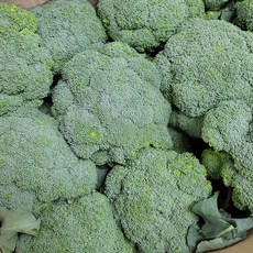 슈퍼푸드 국내산 브로콜리 특품, 1kg, 1개
