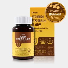 닥터피노 프리미엄 프로폴리스 & 아연 항산화 면역력 영양제 3개월분, 90정, 1개 1통, 90캡슐