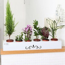 NCU512762특허받은 일체형 화분 트레이 습건생 그레이 파티션겸용, 파티션60cm