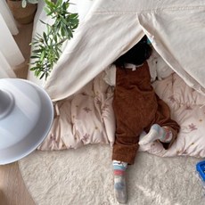 코지베어