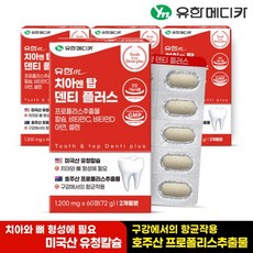 추천4 잇몸영양제