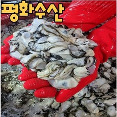 평화수산 통영 프리미엄 생굴 3kg 통영 굴 수협중매인이 직접 판매하는 통영 굴, 1개