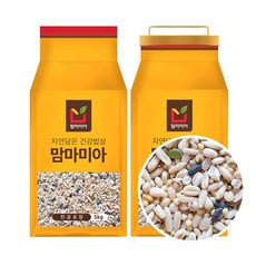 마곡원데이클래스