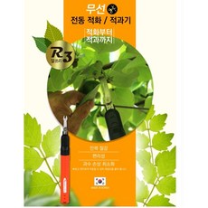 알속기