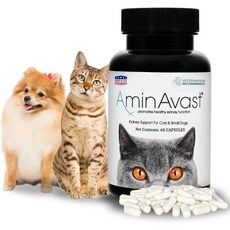 Small Dogs & Cat Kidney Support - Promotes Health Kidney Support in Cats & Small Dogs - 300mg 60 Ca - 아미나바스트