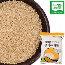 자연을품은현미