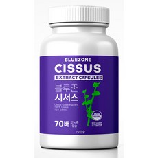 블루존시서스
