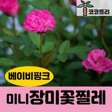 a3ccc6a16ee794aeb26c0fa8894e27ee82f8d3b4595ce121903dfbad4ba2.jpg