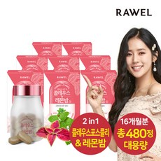 [로엘] 콜레우스레몬밤 정 (500mgx60정) 8통, 직접입력1:로엘 콜레우스레몬밤정 8통, 상세 설명 참조