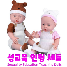 성교육인형