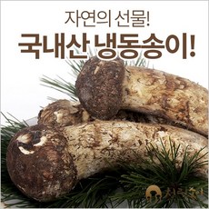 청림송이(청림상사) 자연산 송이버섯(냉동), 1박스, 국산냉동 송이버섯/가정용(등외품)500g