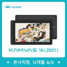 휴이온kamvas16