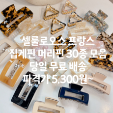 에트로집게핀