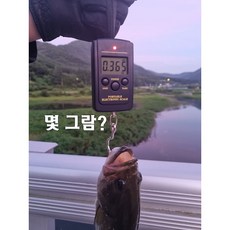 배스저울