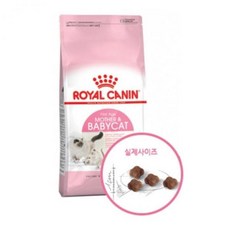 로얄캐닌 마더 앤 베이비캣 34 건식사료, 상세페이지 참조, 10kg, 1개