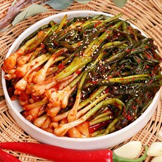 쪽파제철