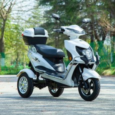 Guowei 전기 세발 자전거 가족 성인 스쿠터 96V 3륜 자동차 배터리 오토바이, 96V22A블랙골드100km+3디스크+가드, A. 72V 이상