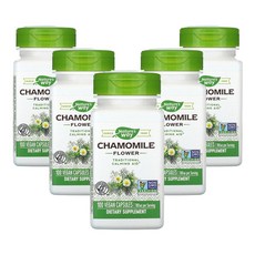 네쳐스웨이 카모마일꽃 350 mg 베지캡슐 100정, 5개