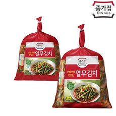 종가집열무김치2.5