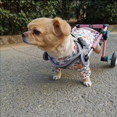 강아지휠체어직구 반려동물보조기 강아지다리절단 강아지척추보조기 소형견 고양이 뒷다리 받침대, 1개