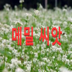 e77533bab8b624a2ba9bb61386d4a06b30841b5815bd8ec05732c7937cc5.png