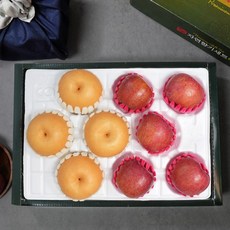 eTV [잇담]사과5과+배4과 4kg 대과 혼합선물세트 프리미엄, 1