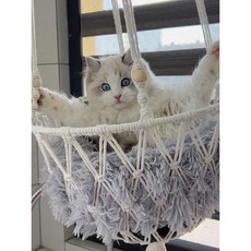 고양이 그네 해먹 스윙침대 소파베드, 9킬로 이내 적합