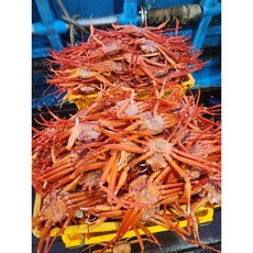 5kg 국내산 산지직송 연지홍게 박달홍게 후포리 자숙 홍게 붉은대게 12~15미, [실속형]5kg(12~15미 수율 80%), 1개