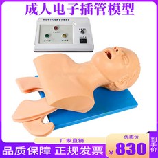 장기모형 한의원 고급 인체기관삽관모형 의료용 성인기관삽관 훈련모형 기도경색 응급처치